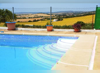 Wunderschöne Finca, ideal  für Pferdehaltung, in Arcos de la Frontera