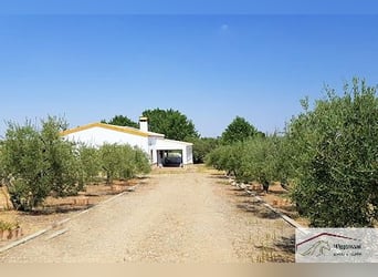 Zwei Fincas mit möglichkeit für Pferdehaltung, Andalusien, Spanien