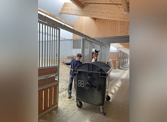 BIO CUBE - Die mobile Miststätte - Kapazität für Strohmist von ca. 400 Großpferden