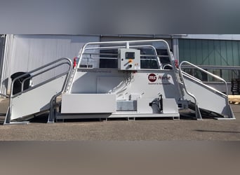 ms Pferdelauf Economy zum Sommerpreis