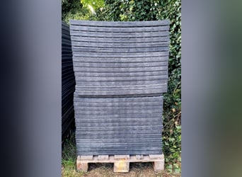 Paddock Platten 