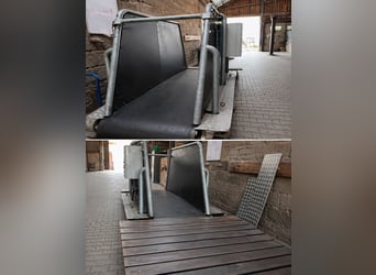 Tapis de marche pour chevaux