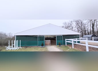 Tente de manège 15x30 m à vendre, idéale comme tente d’équitation, entrepôt ou tente pour événements