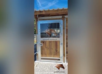 Stalltüren, Stalltore, Boxentüren, Stalltüren kaufen, Paddocktüre, Schiebetüren - Pferdestall bauen