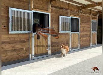 Stalltüren, Stalltore, Boxentüren, Stalltüren kaufen, Paddocktüre, Schiebetüren - Pferdestall bauen