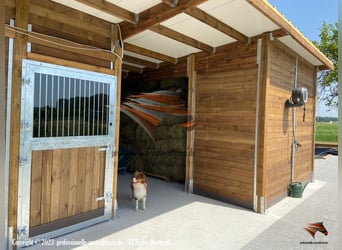 Stalltüren, Stalltore, Boxentüren, Stalltüren kaufen, Paddocktüre, Schiebetüren - Pferdestall bauen