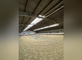 Boxes / paddock boxes available
