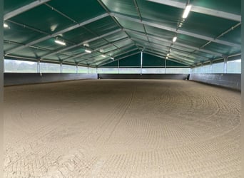 Places de box disponibles – Écurie calme et verdoyante avec paddocks 🌿 Le mois de mai apporte du re