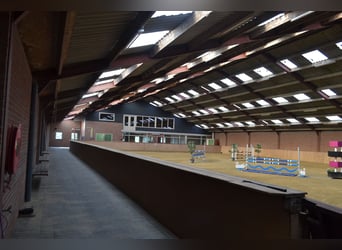 Te huur aangeboden een professionele paarden manege/complex/stallen