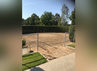 Vermieten eine Außenbox 