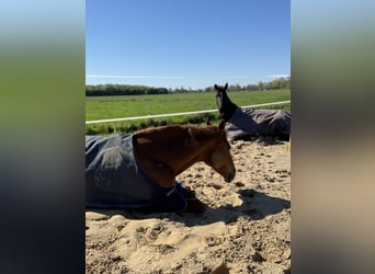 Emplacement pour balades directement en bord de mer