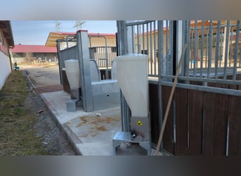 Nouvelle écurie active à Munich Est avec 2 manèges