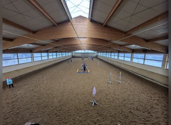 Nouvelle écurie active mai 2026 à Munich-Est, 2 manèges.