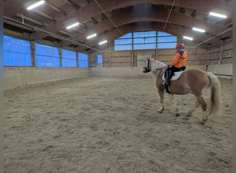 Nouvelle écurie active mai 2026 à Munich-Est, 2 manèges.