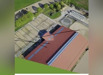 Offenstallplatz frei in 14532 für Stute und Wallach 