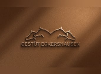 Aufzuchtsplätze & Plätze für Zuchtstuten 