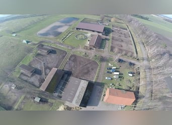 Aufzuchtsplätze & Plätze für Zuchtstuten 