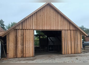 Paddock / Paddock box / Run-in shed for young mares