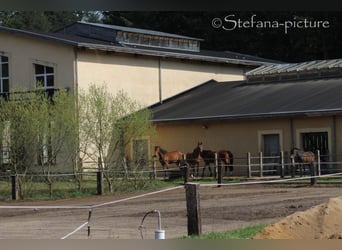 Places d'élevage disponibles