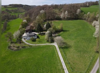 Places d’élevage & pâturage d’été pour juments/poulains à partir du printemps 2027