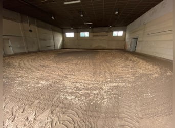 Box de pension pour chevaux, pension équestre, manège couvert