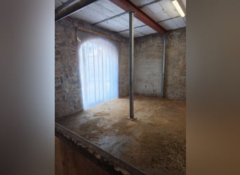 Boxes de paddock en pension complète ou en autonomie