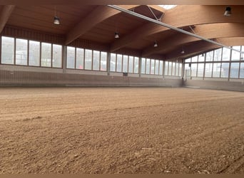 boxes paddock