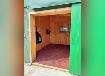 Centre de rééducation pour chevaux | Rééducation équine, espace de soins, thérapie, station de repos