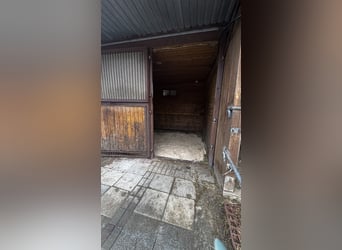 Paddockbox ab sofort frei! Vollpension 