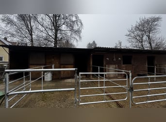 Paddockbox ab sofort frei! Vollpension 