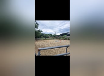 Petite communauté de stalles