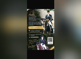 Cavalière de dressage très expérimentée propose un entraînement personnalisé