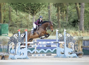 Cours de saut d'obstacles – de nouvelles dates disponibles dès maintenant !