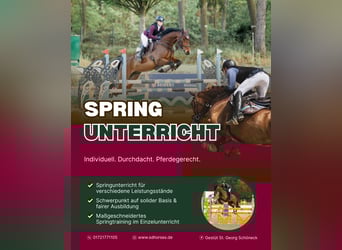 Cours de saut d'obstacles – de nouvelles dates disponibles dès maintenant !