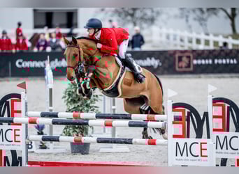 Cours d'équitation professionnel