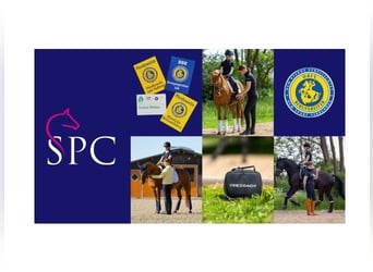 Dressurunterricht Kl. E-S * Trainingstage * Sitzschulung * EM Bewegungstraining * Neuroathletik *