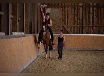 Qualitativer Reitunterricht