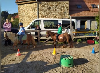 Reiten für Kinder und Jugendliche auf Ponys ab 3 Jahren auch Ausritte!