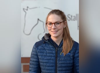 Reitunterricht Springen/Dressur/Freizeit