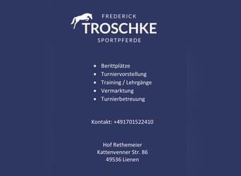 Beritt / Ausbildung / Vermarktung / Training / Lehrgänge 