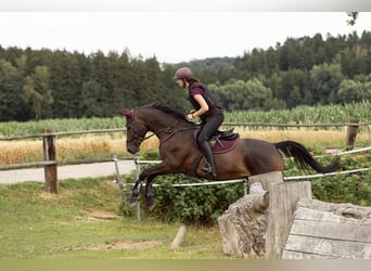 Beritt: Reiten wie es Pferde lieben 