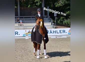 Berittplatz Dressur
