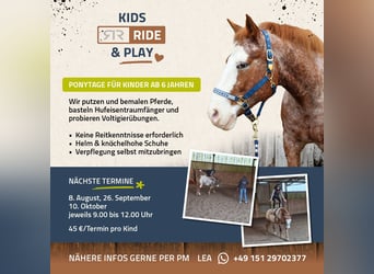 Carrières, cours, stages