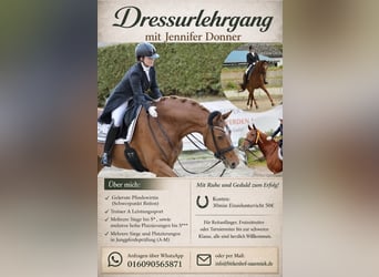 Entraînement en dressage jusqu'au niveau S***