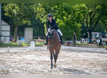Entraînement et manèges disponibles