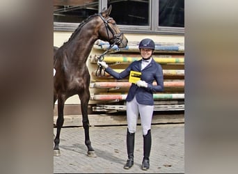 Montée complète avec cœur