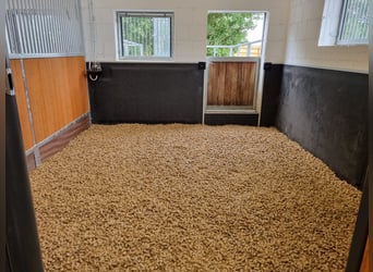 Places de dressage disponibles - Dressage complet dans un centre équestre moderne