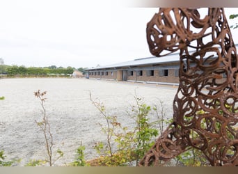 Places de reprise disponibles