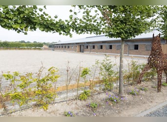 Places de reprise disponibles