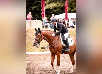 Places d'entraînement disponibles dès maintenant